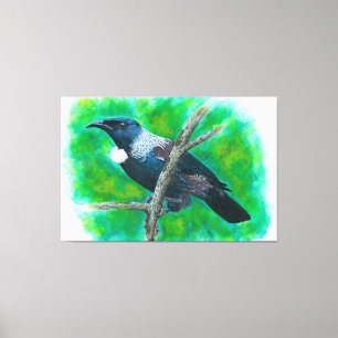 New Zealand Tui - Painting in acrylic Canvas Print
