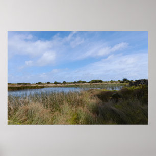 New Zealand West Coast Auckland Whatipu Cave Track Poster