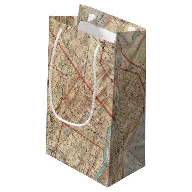 Newark and Paterson, New Jersey Small Gift Bag (Back Angled)