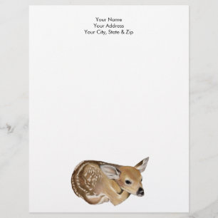Newborn Fawn Letterhead