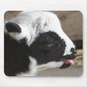 Newborn Lamb Mouse Pad