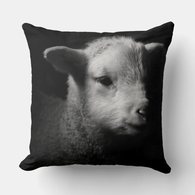 Newborn Lamb Throw Pillow (Front)