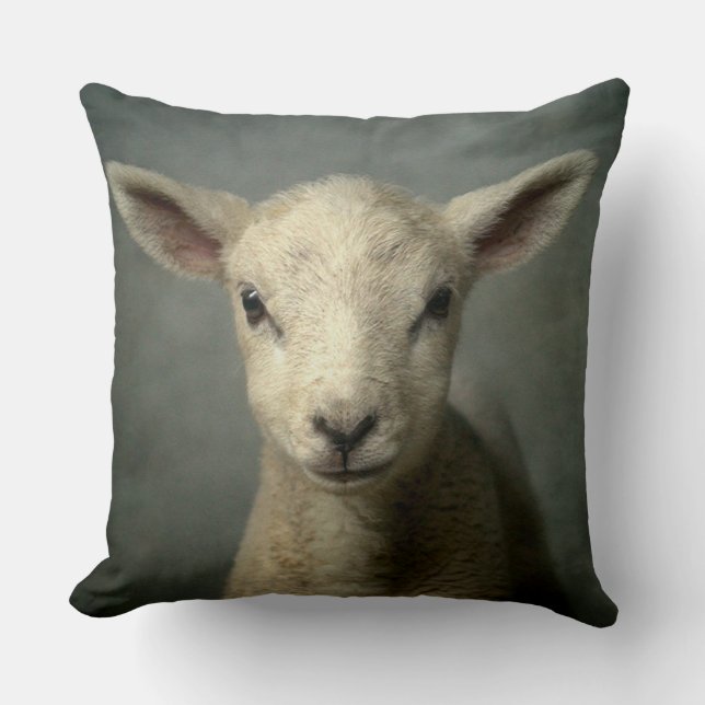 Newborn Lamb Throw Pillow (Front)