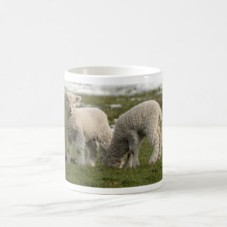 Newborn Lambs Coffee Mug