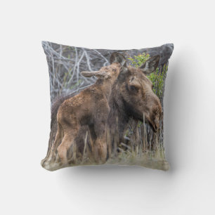 Newborn Moose Calf Nuzzling its Mother Throw Pillow