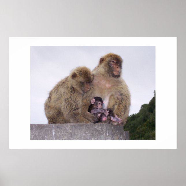 Newborn Poster (Front)