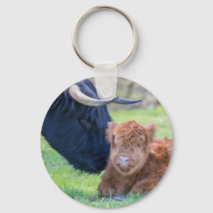 Newborn scottish highlander calf with mother cow keychain