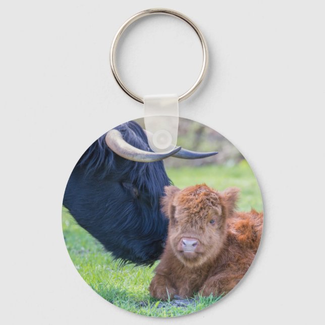 Newborn scottish highlander calf with mother cow keychain (Front)