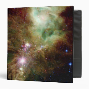Newborn stars in the Christmas Tree cluster Binder