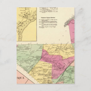 Newcastle, Town Postcard