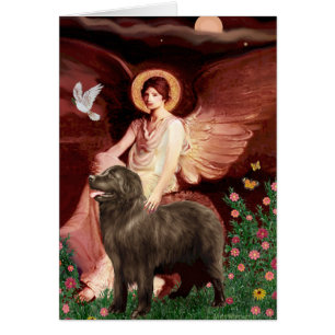 Newfie (brown) - Seated Angel