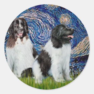 Newfie Landseer Pair - Starry Night Classic Round Sticker