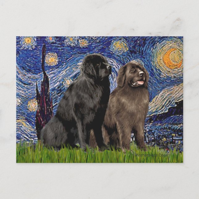 Newfie Pair - Starry Night Postcard (Front)