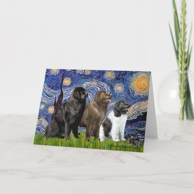 Newfie Trio - Starry Night Card (Front)