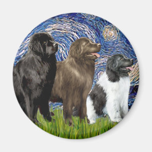 Newfie Trio - Starry Night Magnet