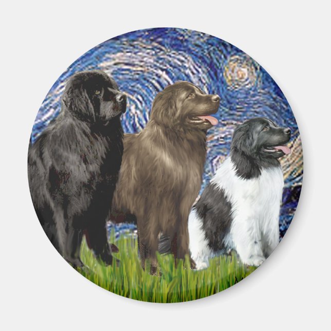Newfie Trio - Starry Night Magnet (Front)