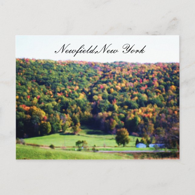 NEWFIELD NEW YORK postcard (Front)