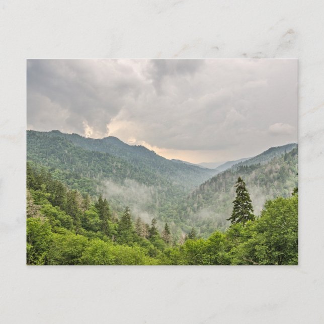 Newfound Gap, Great Smoky Mountains National Park Postcard (Front)