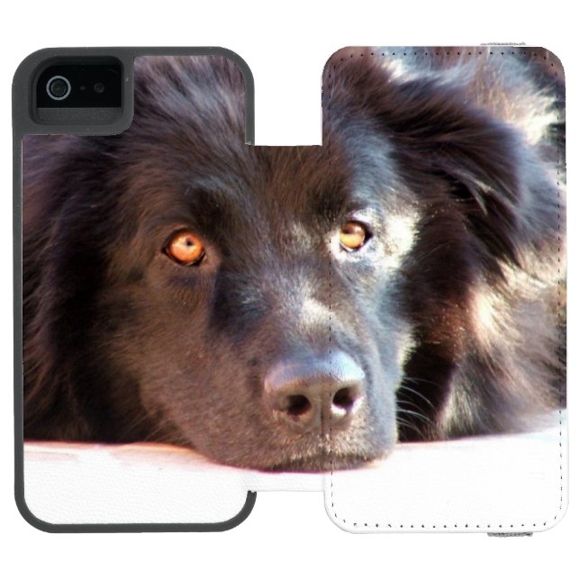 newfoundland-3 incipio iPhone wallet case (Folio Open)