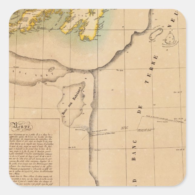 Newfoundland 45 square sticker (Front)