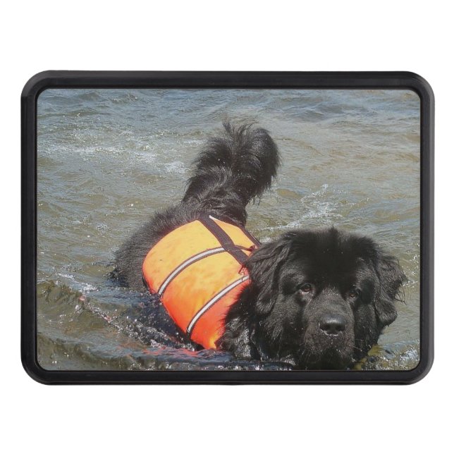 newfoundland-7 trailer hitch cover (Front)