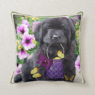 Newfoundland a Sunny Day Pillow