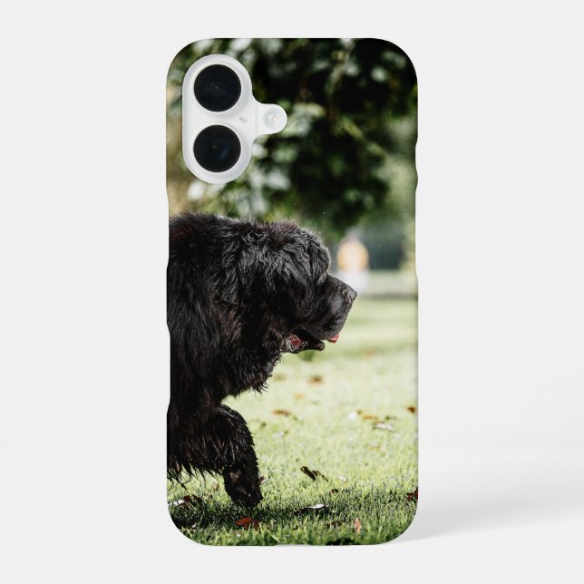newfoundland black in motion iPhone 16 case (Back)