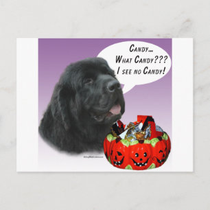 Newfoundland (blk) Halloween Candy Postcard