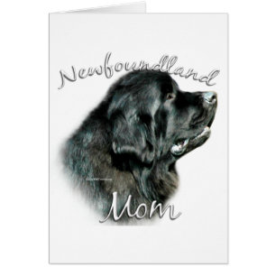 Newfoundland (blk) Mom 2