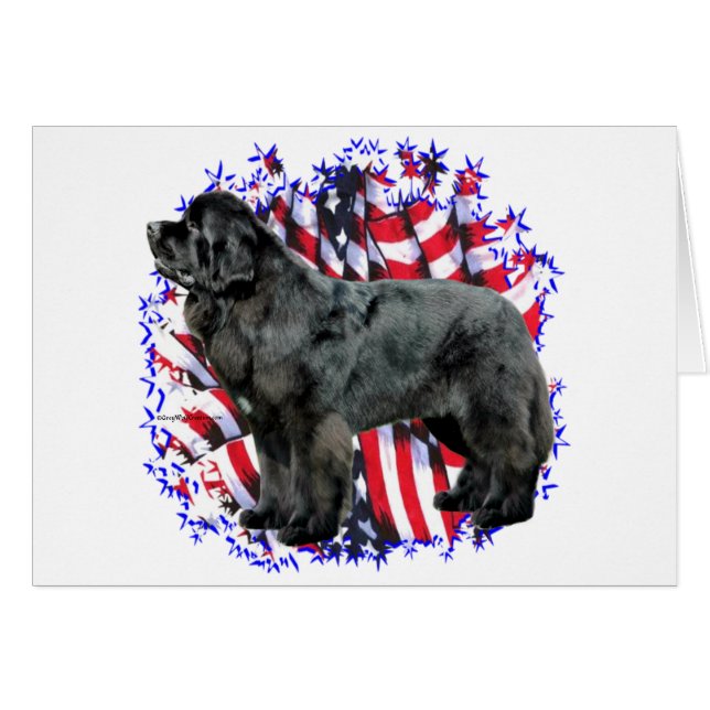 Newfoundland (blk) Patriot (Front Horizontal)