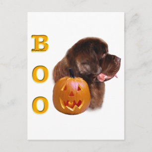 Newfoundland (brn) Halloween Boo Postcard
