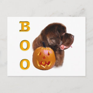 Newfoundland (brn) Halloween Boo Postcard