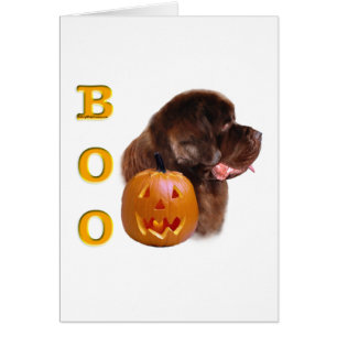 Newfoundland (brown) Boo