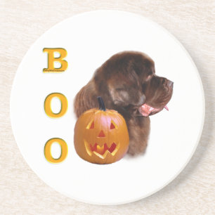 Newfoundland Brown Halloween BOO Coaster