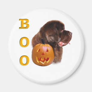 Newfoundland Brown Halloween BOO Magnet
