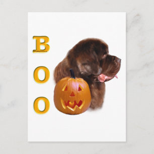 Newfoundland Brown Halloween BOO Postcard