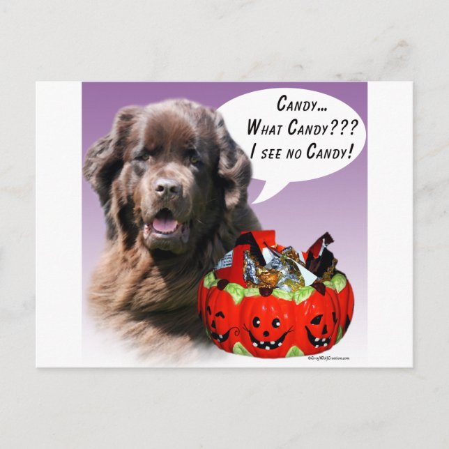 Newfoundland (brown) Halloween Candy Postcard (Front)