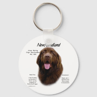 Newfoundland (Brown) History Design Keychain