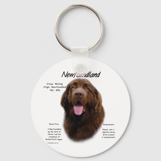 Newfoundland (Brown) History Design Keychain (Front)