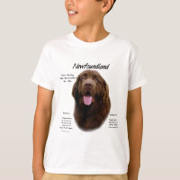 Newfoundland (Brown) History Design