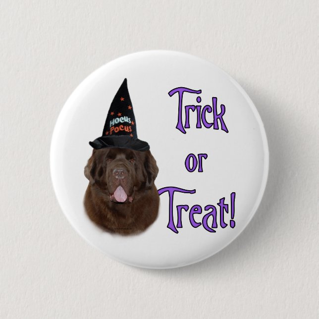Newfoundland (brown) Trick 2 Inch Round Button (Front)
