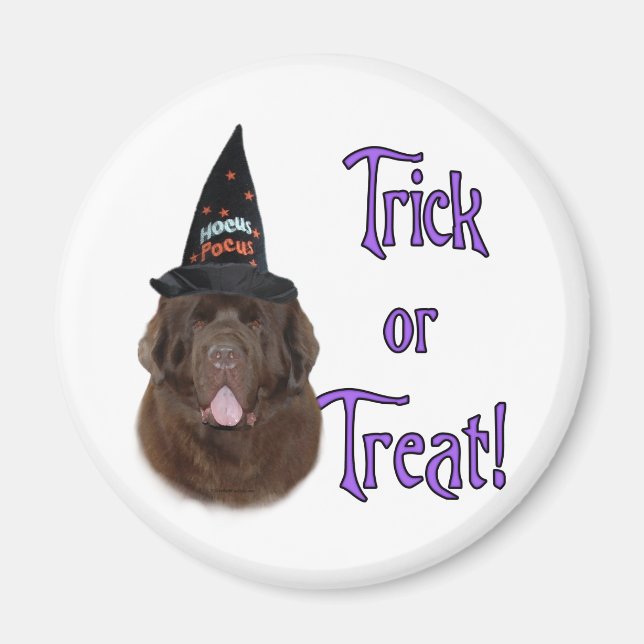 Newfoundland (brown) Trick Magnet (Front)