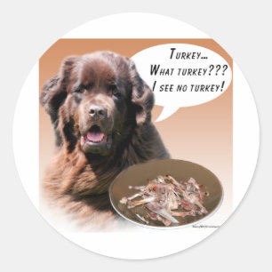 Newfoundland (brown) Turkey Classic Round Sticker