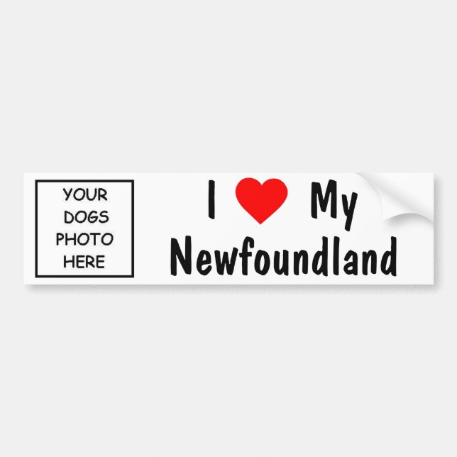 Newfoundland Bumper Sticker (Front)