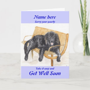 Newfoundland Chig Get Well Bientôt carte ajouter n