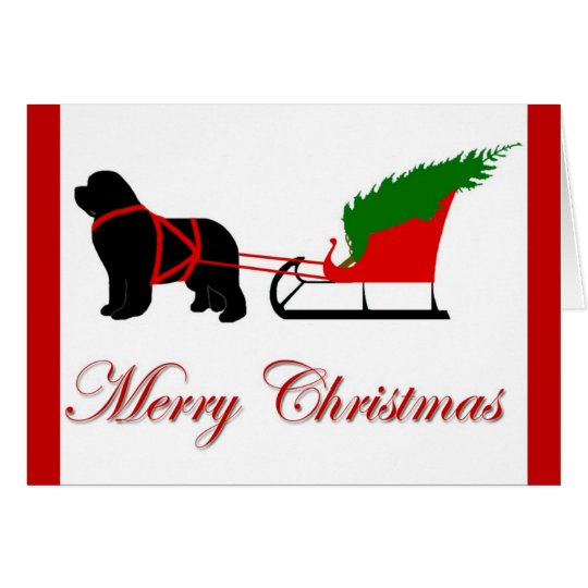 Newfoundland Christmas Card