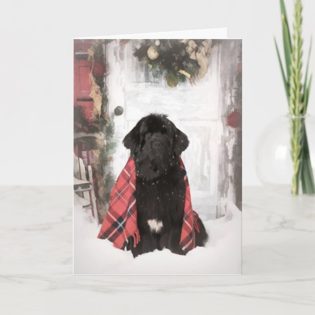 Newfoundland Christmas Card (Front)