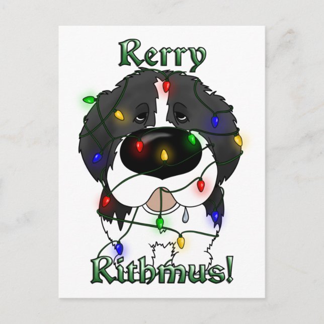 Newfoundland Christmas Lights Holiday Postcard (Front)