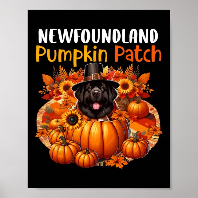 Newfoundland Cute Patch Thanksgiving Pumpkins Fall Poster (Front)