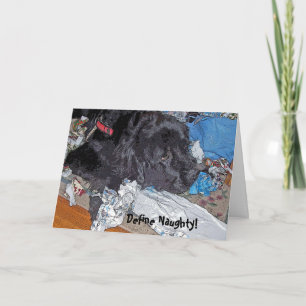 Newfoundland, Define Naughty Holiday Card